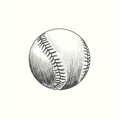 Baseball softball vector illustration in black. Detailed vintage style ...