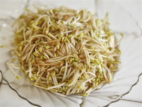 Stir-Fried Bean Sprouts - Dr. Weil's Healthy Kitchen