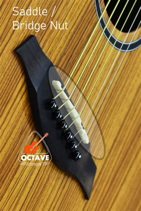 Saddle / Bridge Nut for Acoustic Guitar - 1 Piece | OCTAVE