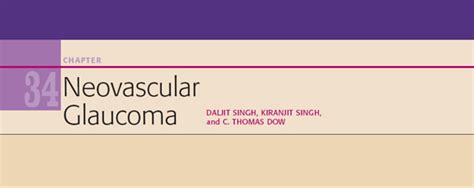 Neovascular Glaucoma | Ento Key