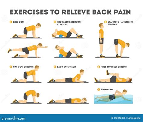 Exercise Set To Relieve Back Pain. Stretching and Training Stock Vector ...