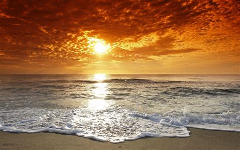 Beach Sunset Wallpapers - Top Free Beach Sunset Backgrounds ...