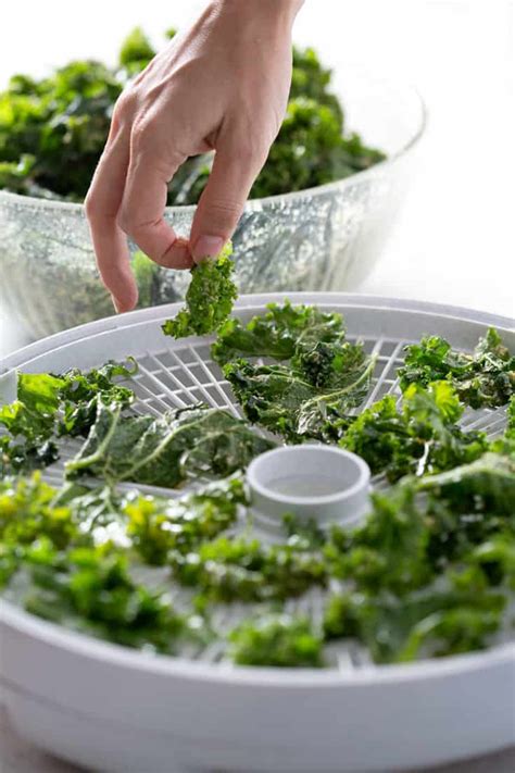 Kale Chips (Dehydrator recipe) | Bon Aippetit