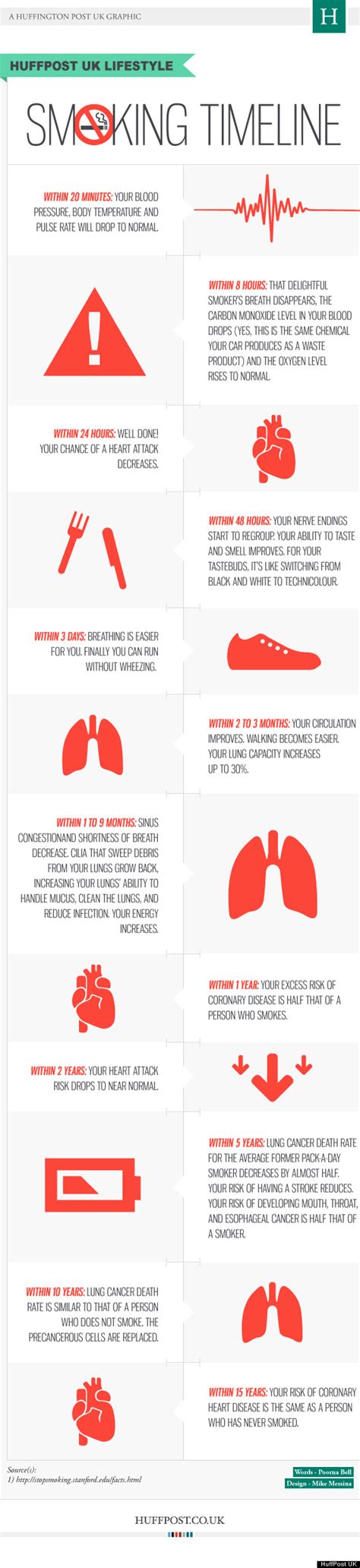 Smoking Timeline [INFOGRAPHIC] #smoking #timeline – Infographic List