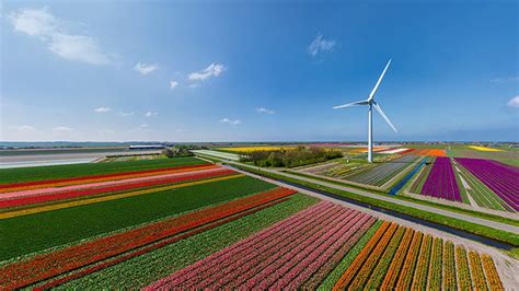 Tulip Fields Keukenhof sightseeing flight