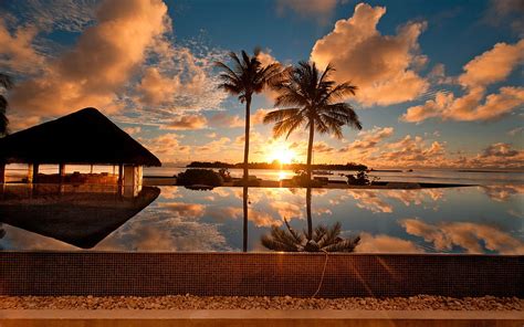 Sunset at Palm Beach, sea, reflection, palm, clouds, trees, nature ...