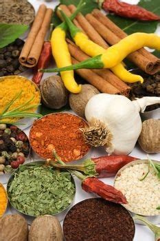 Mexican spices | ... basic knowledge about the common Mexican herbs and ...