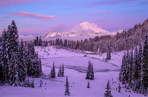 Mount Rainier winter Photograph by Lynn Hopwood - Pixels