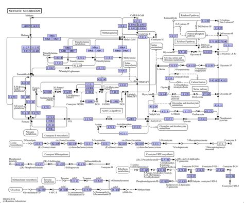 KEGG PATHWAY: Methane metabolism