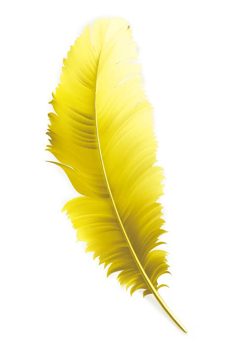 yellow feather clipart png 10 free Cliparts | Download images on ...