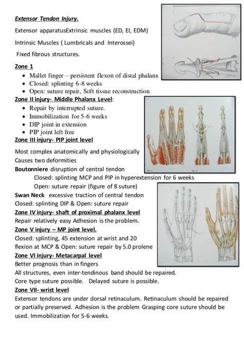 Tendon injury by dr yash