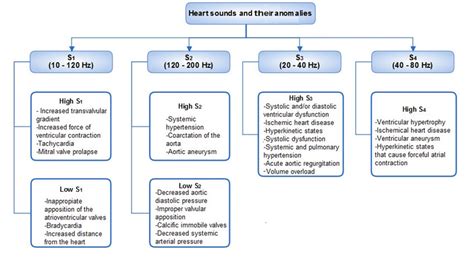 Types of heart sounds and their characteristics | Download Scientific ...