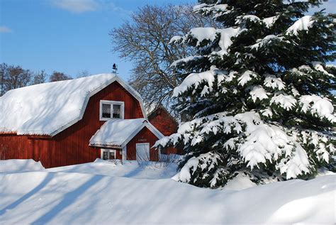 Snowy Sweden Scandinavia Photograph by TinaDeFortunata