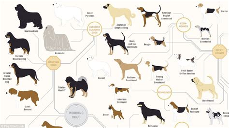 The Family Tree of DOGS — The Joodlum Group