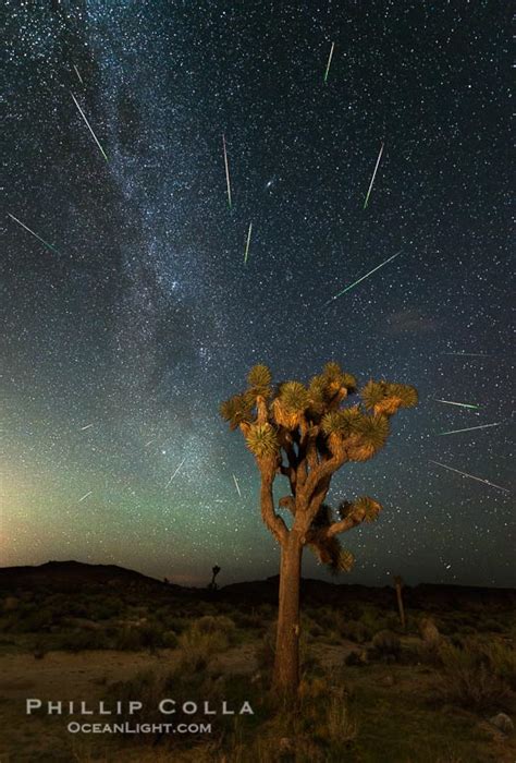 Perseid Meteor Shower over Joshua Tree National Park, August 2015 ...