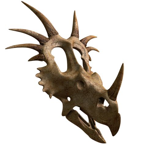 Styracosaurus skull model - TurboSquid 1337450