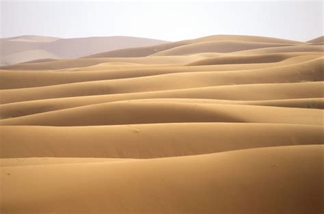 Sand-dunes-dune-field-Sahara-desert | EarthSky