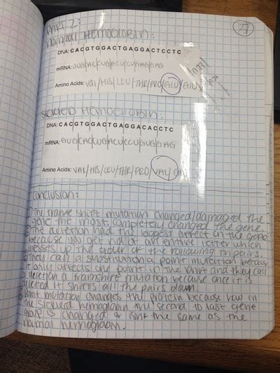 Base Pair Mutations - PLTW Biomedical Sciences Portfolio