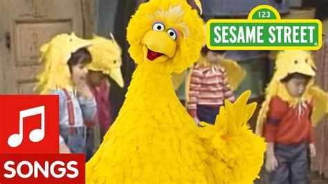 Sesame Street: Big Bird Sings You Can Be A Birdketeer - YouTube