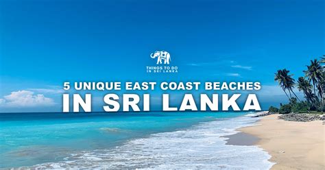 5 Unique East Coast Beaches in Sri Lanka | Things To Do in Sri Lanka