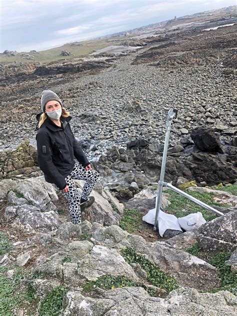 Camera set up at Lihou to record local seabird activity | Guernsey Press