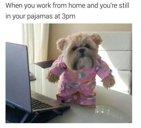 16 working from home memes that will make you smile — Loumee