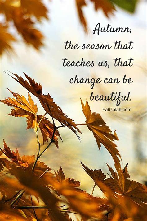 Autumn, the season that teaches us that change can be beautiful. | Kata ...