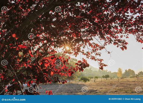 Beautiful Fall Color Over Oak Glen Area Stock Photo - Image of ...