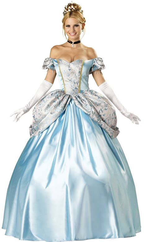 Enchanting Princess Adult Costume - Mr. Costumes