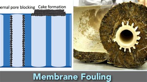 Membrane Fouling - Types, Causes And Prevention