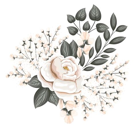 White Rose Vector Art, Icons, and Graphics for Free Download