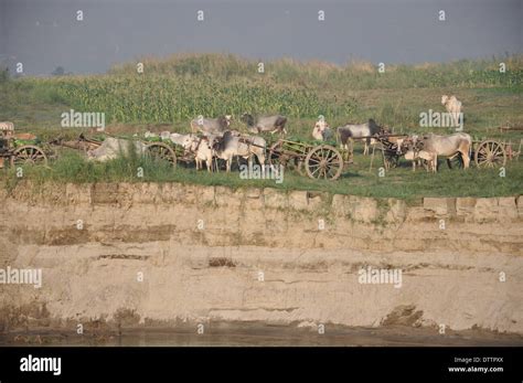 on the banks of irrawaddy river,burma Stock Photo - Alamy