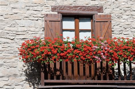 10 Tips to Start a Balcony Flower Garden | Balcony Garden Design ...