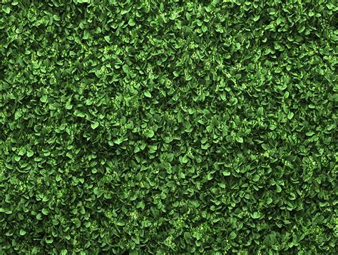 Buy CHAIYA 10x8ft Green Leaves Backdrop Greenery Leaf Wall Background ...