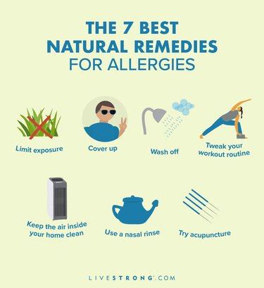 The 7 Best Natural Remedies for Seasonal Allergies (and 6 to Skip ...