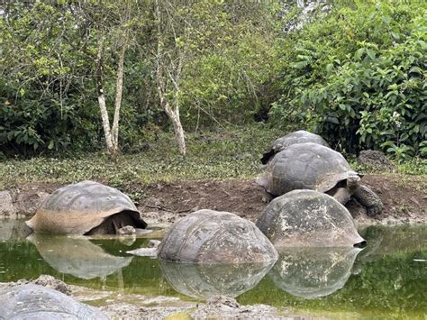 Cruise through the Galapagos on a wildlife expedition