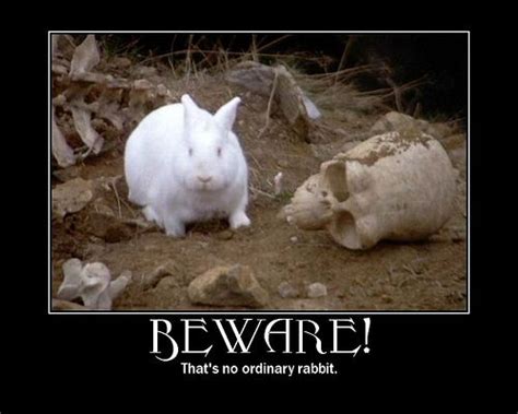 killer rabbit | by raquelly111 (The Killer Rabbit of Caerbannog from ...