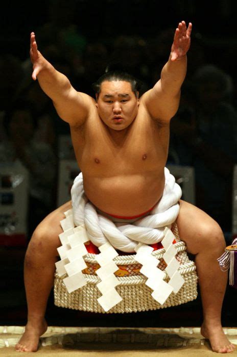 Sumo Wrestlers (41 pics)