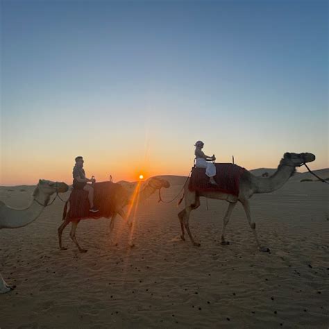 Desert Safari Abu Dhabi Reviews | Abu Dhabi Desert Safari Experience Review