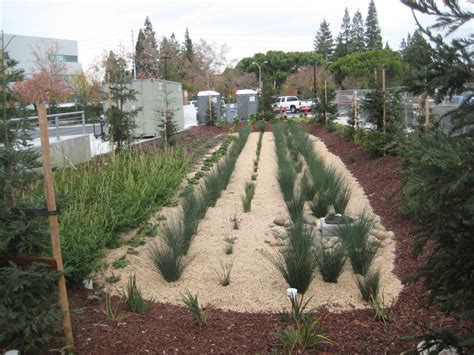 Bioretention Basin Brisbane | Basin Maintenance & Management