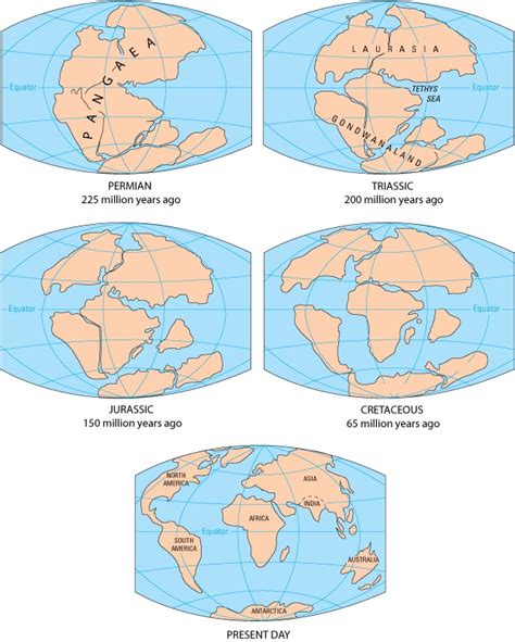 What Did Earth Look Like 200 000 Years Ago - The Earth Images Revimage.Org