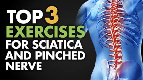 Physical Therapy Exercises For Pinched Nerve In Lower Back – Online degrees