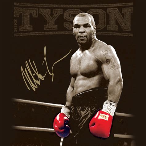 Mike Tyson Wallpapers HD | Mike tyson boxing, Mike tyson, Tyson boxer