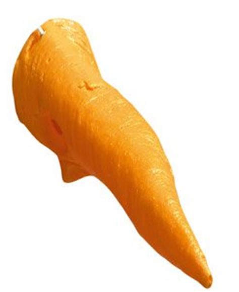 Carrot Nose Clipart | Free download on ClipArtMag