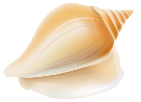 Free Seashell Clipart Pictures - Clipartix