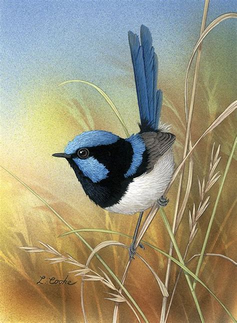 'Superb Blue Wren' by Lyn Cooke. | Bird art, Watercolor bird, Birds ...