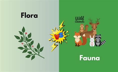 Flora vs. Fauna - What's the Difference (With Table)