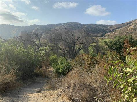 Father Junipero Serra Trail - California | AllTrails