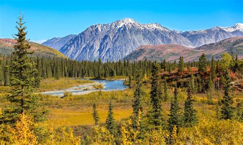 A Guide to Denali National Park | RVshare.com