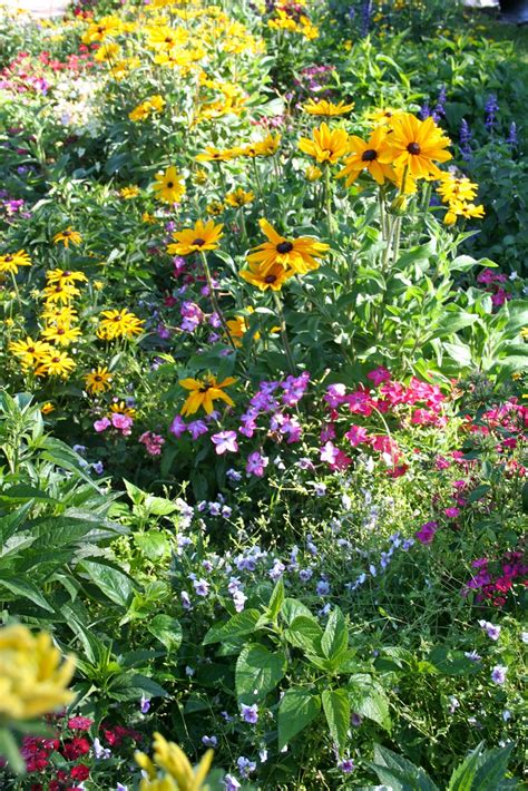 How To Make An Indoor Butterfly Garden